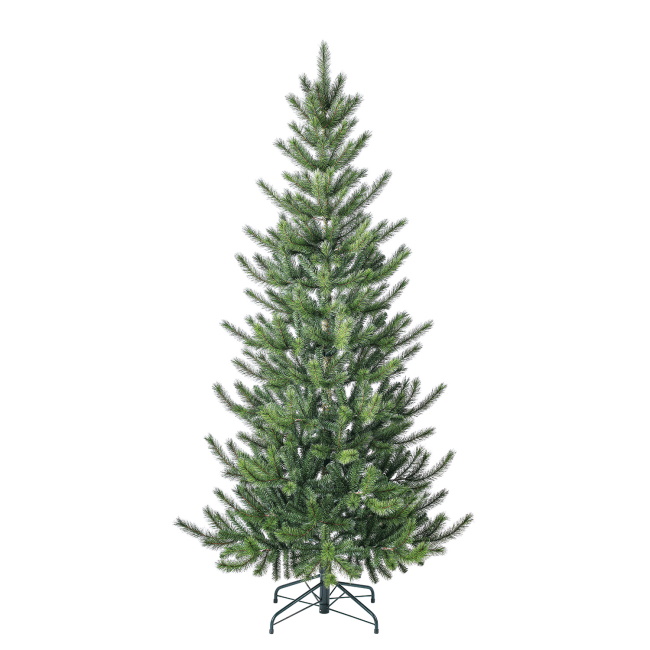 Novogodišnja jelka Cedar pine 210cm -1