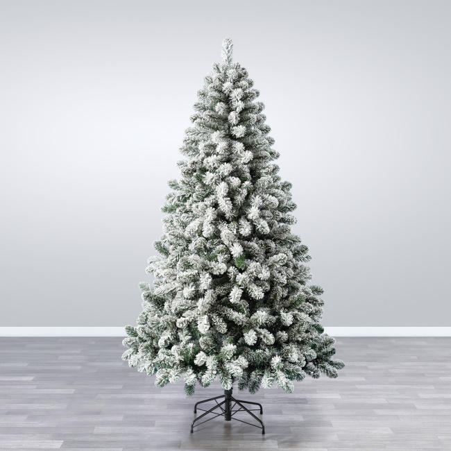 Novogodišnja jelka Snowy Oxford pine 240cm -5