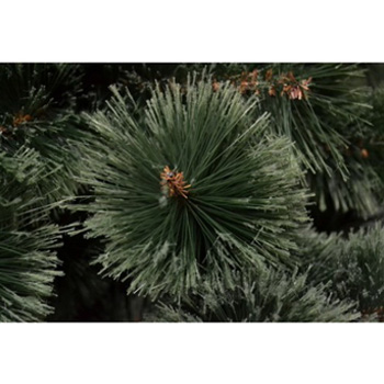 Novogodišnja jelka sa rascepljenim vrhovima 220 cm Bor - 20455-3