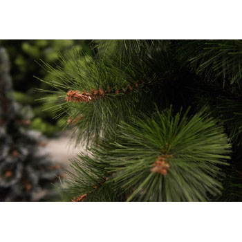 Novogodišnja jelka 220 cm Bor zelena  - 20356-1