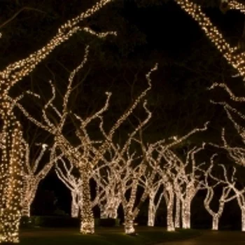 LED trepteći niz od 100 komada sijalica KDK 211 (toplo bela boja)-1