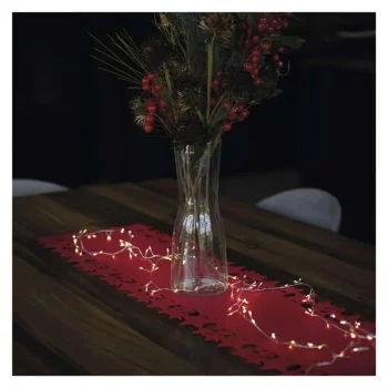 Emos novogodišnje nano LED lampice jež 2.4m na baterije toplo bele MTG-D3FW01-2