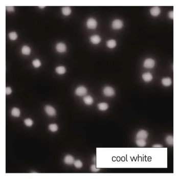 Emos LED projektor dekorativni padajuće pahulje bele MTG-DCPC03-2 Emos LED projektor dekorativni padajuće pahulje bele MTG-DCPC03-2