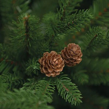 Novogodišnja jelka Conifer 210cm KFB 151-2