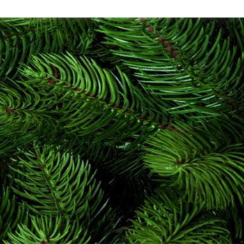 Novogodišnja jelka Evergreen 210cm KFB 501-2