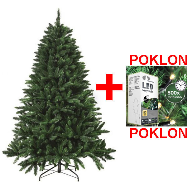 Novogodišnja jelka Nordmann Supreme 210cm + POKLON lampice 80 komada-1