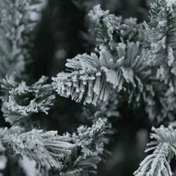 Novogodišnja jelka Snow Queen 180cm KFB 378-2 Novogodišnja jelka Snow Queen 180cm KFB 378-2