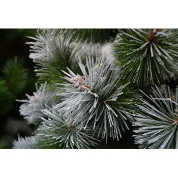 Novogodišnja jelka 150 cm Ledena-1 Novogodišnja jelka 150 cm Ledena-1