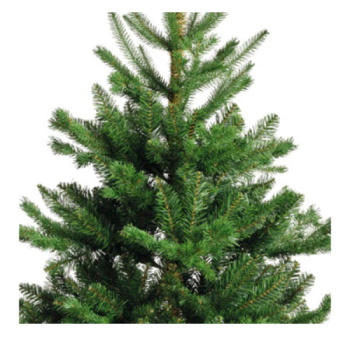 Novogodišnja jelka Alba fir 180cm-2