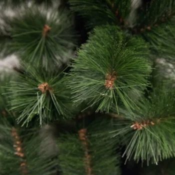 Novogodišnja jelka 320 cm Bor zelena - 22251-1 Novogodišnja jelka 320 cm Bor zelena - 22251-1