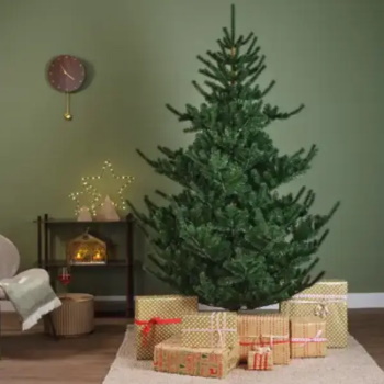 Novogodišnja jelka zelena Greenway Spruce Everlands 210cm zelena-3 Novogodišnja jelka zelena Greenway Spruce Everlands 210cm zelena-3
