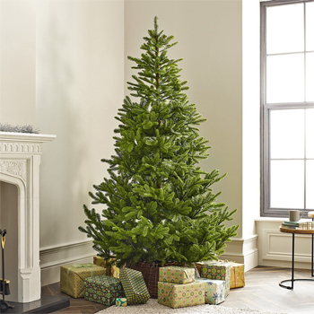 Novogodišnja veštačka jelka Koreana Spruce 180 cm-2