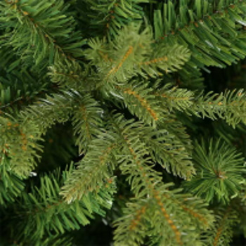 Novogodišnja jelka Maljen 240cm-2