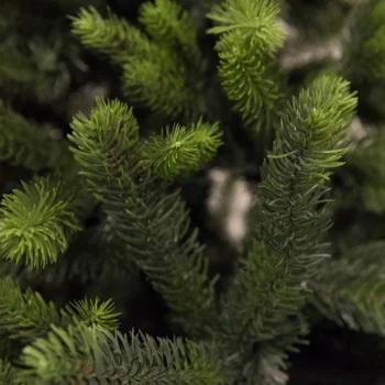 Novogodišnja jelka Scandinavia 250cm 22411-1 Novogodišnja jelka Scandinavia 250cm 22411-1