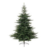 Novogodišnja jelka Grandis fir 240cm Everlands 68.1453