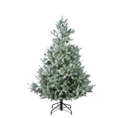 Novogodišnja jelka Snowy Grandis Fir 150cm