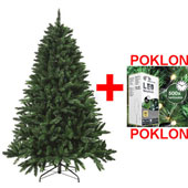 Novogodišnja jelka Nordmann Supreme 210cm + POKLON lampice 80 komada