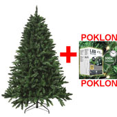 Novogodišnja jelka Nordmann Supreme 240cm + lampice 120 komada