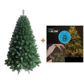 Komplet novogodišnja jelka Bor 180cm + novogodišnje stepenaste LED lampice 6 nivoa 171 LED 180cm toplo bele Lumineo Basic