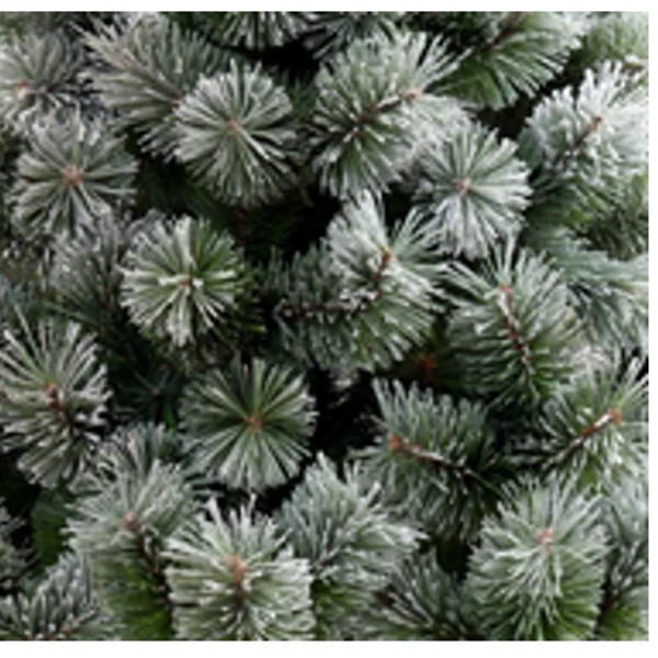 Novogodišnja jelka 180 cm Ledena -3